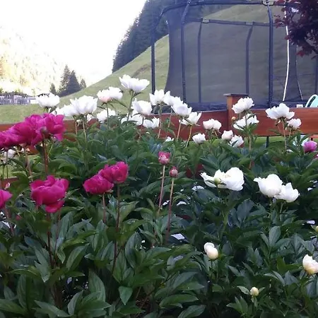 Fremdenpension Alpenruhe 3*