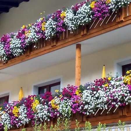 Fremdenpension Alpenruhe 3* Solden