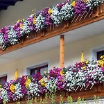 Fremdenpension Alpenruhe 3* Ζόλντεν